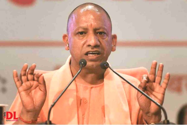 yogi-up-2